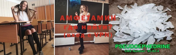 ПСИЛОЦИБИНОВЫЕ ГРИБЫ Вяземский