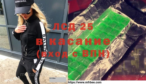 ПСИЛОЦИБИНОВЫЕ ГРИБЫ Вяземский