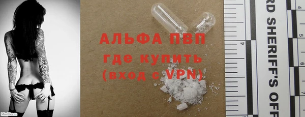 ПСИЛОЦИБИНОВЫЕ ГРИБЫ Вяземский