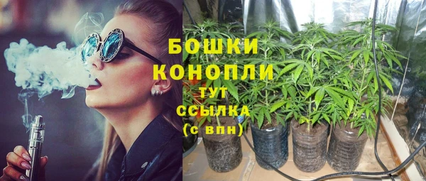 эйфоретик Бикин