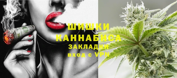 дживик Билибино