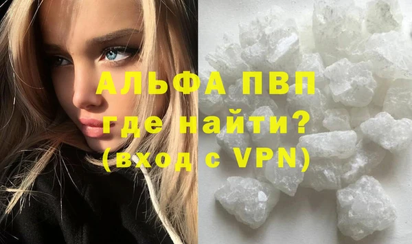 ПСИЛОЦИБИНОВЫЕ ГРИБЫ Вяземский