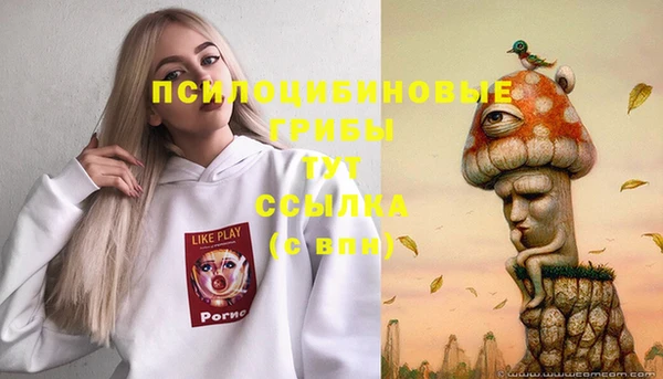 2c-b Вязьма