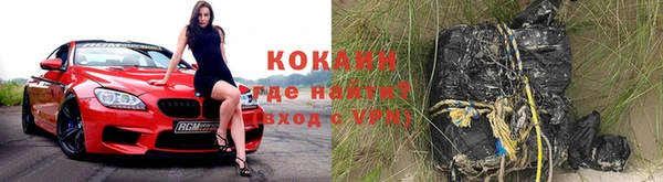 дживик Билибино